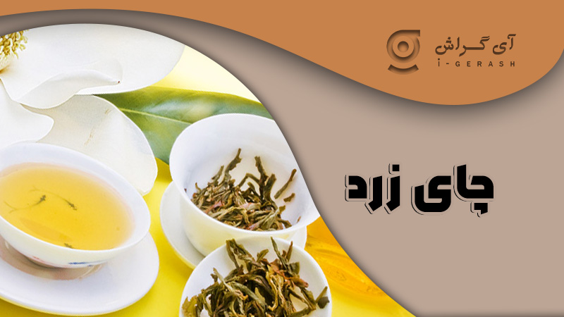 چای زرد-گراش