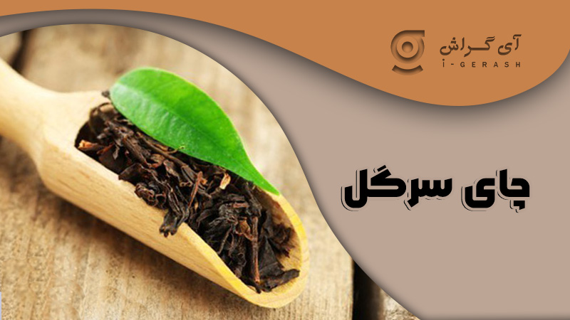 چای سرگل-گراش