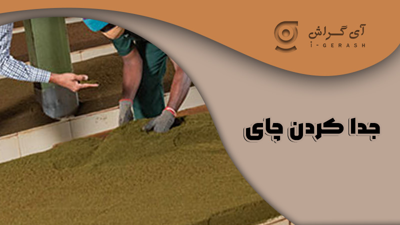 جداکردن-چای